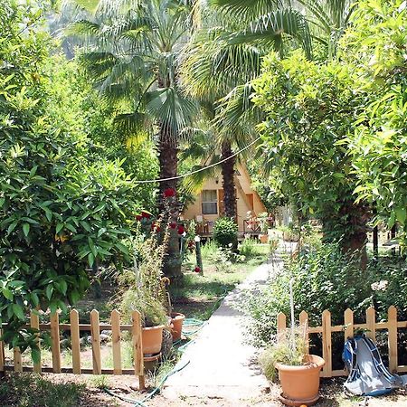 Oran Pansiyon Agac Evler Hotel ชิลารึ ภายนอก รูปภาพ