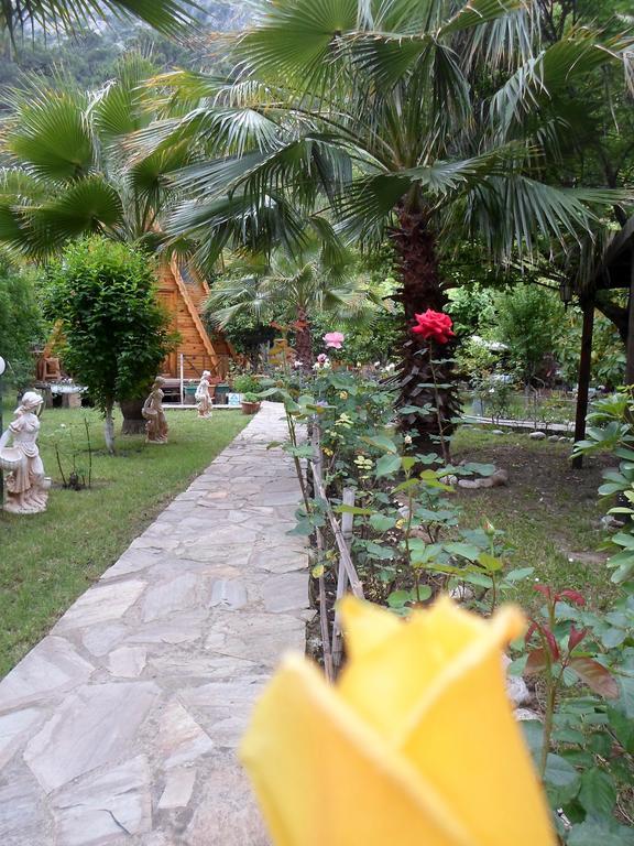 Oran Pansiyon Agac Evler Hotel ชิลารึ ภายนอก รูปภาพ