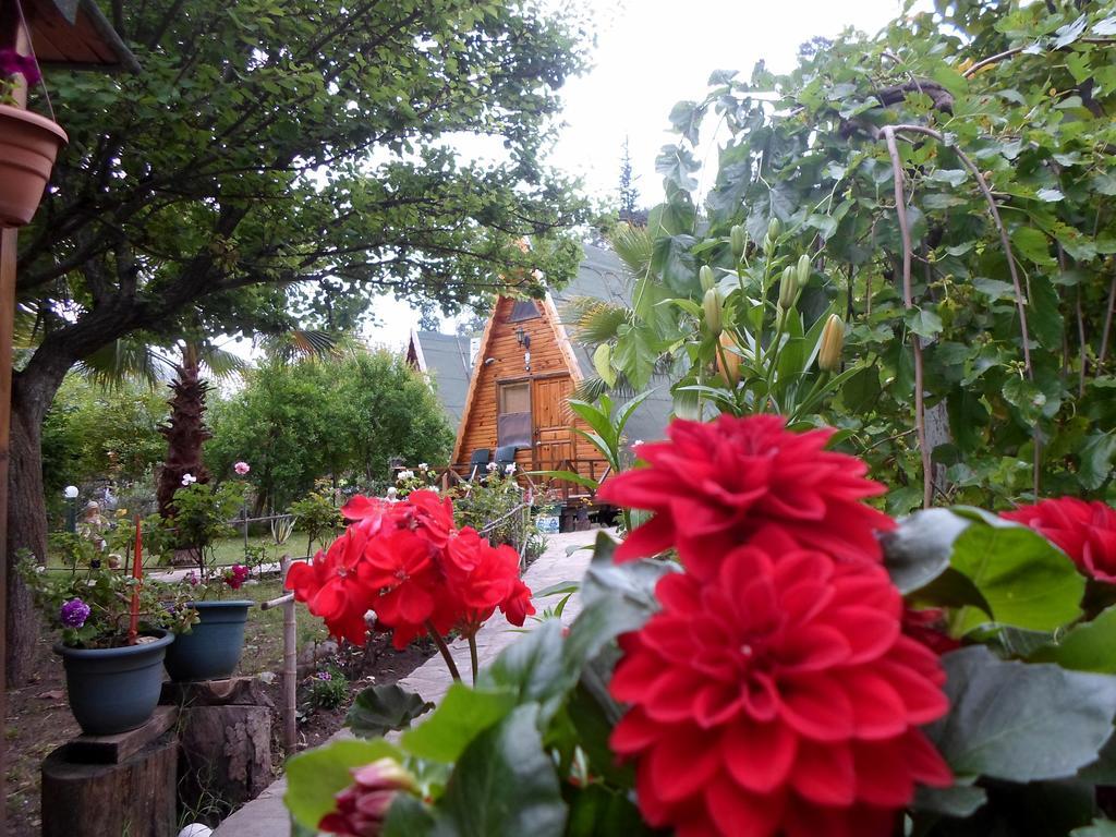 Oran Pansiyon Agac Evler Hotel ชิลารึ ภายนอก รูปภาพ