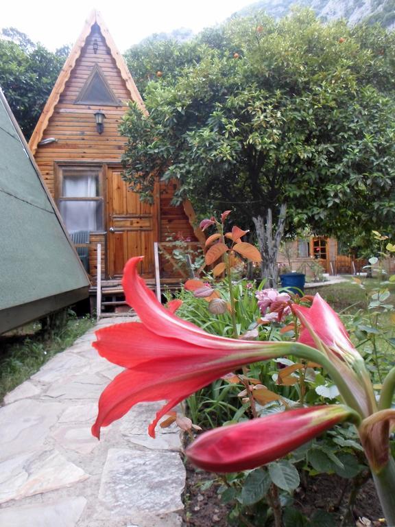 Oran Pansiyon Agac Evler Hotel ชิลารึ ภายนอก รูปภาพ