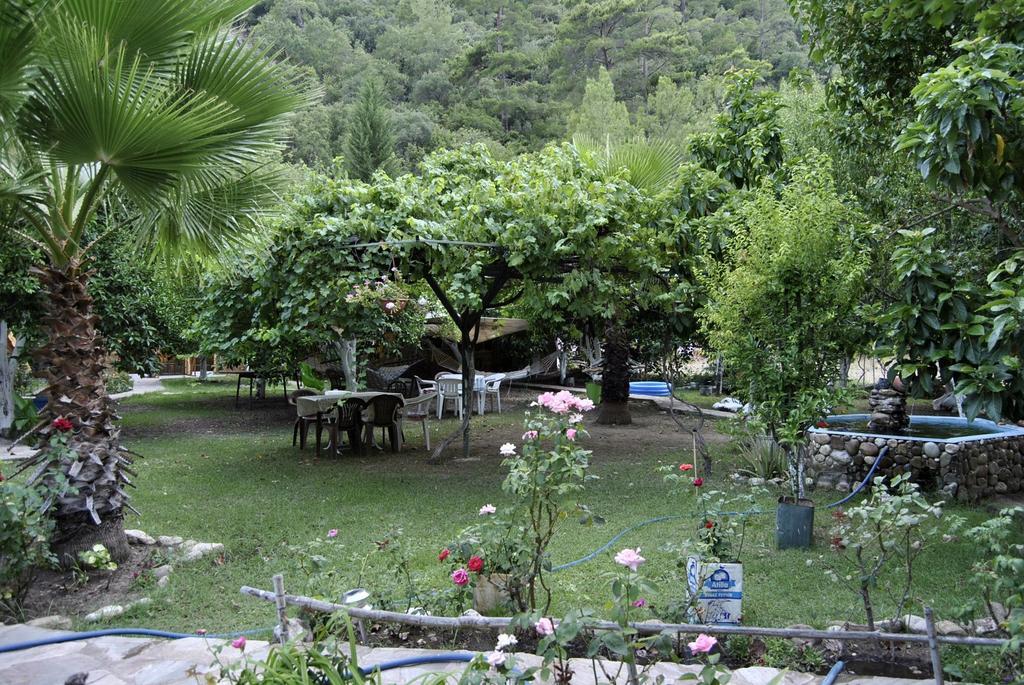 Oran Pansiyon Agac Evler Hotel ชิลารึ ภายนอก รูปภาพ